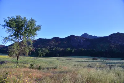 DSC_6187 (Large).JPG